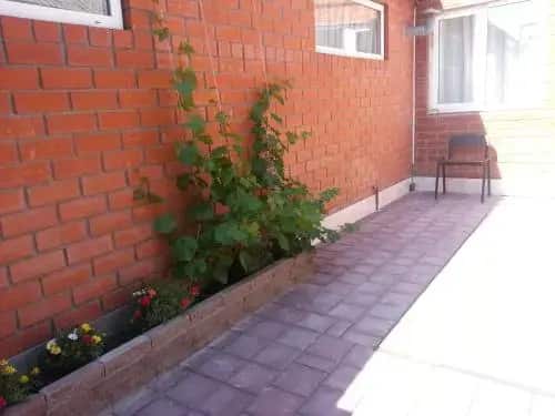 Apart-Hotel Gogolia 95: главное фото 1