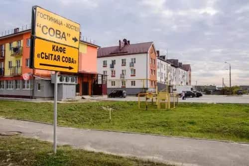 Сова: главное фото 1