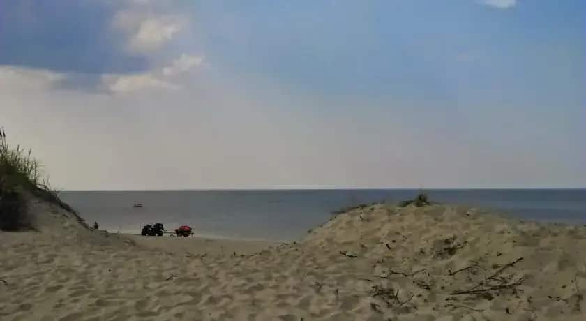 Camping Lesnoy: главное фото 1