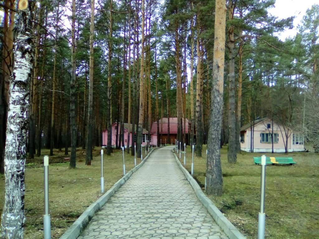 Сосновый бор (Свердл.обл): главное фото 1