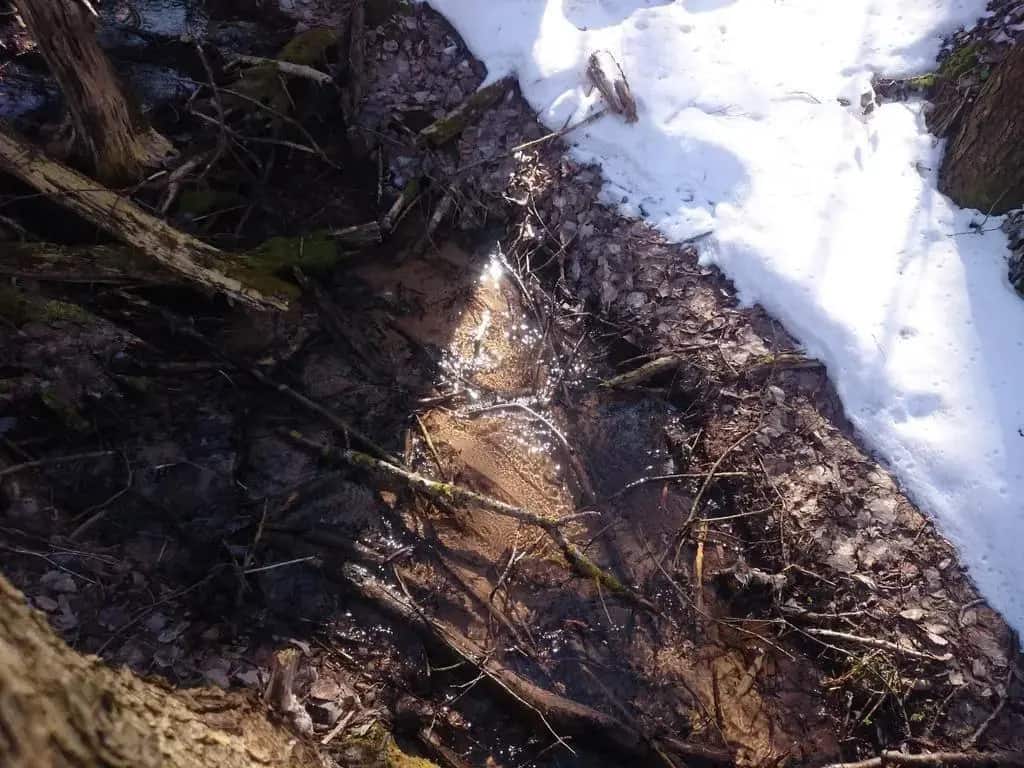 Baza Otdyha Okskaya: главное фото 1