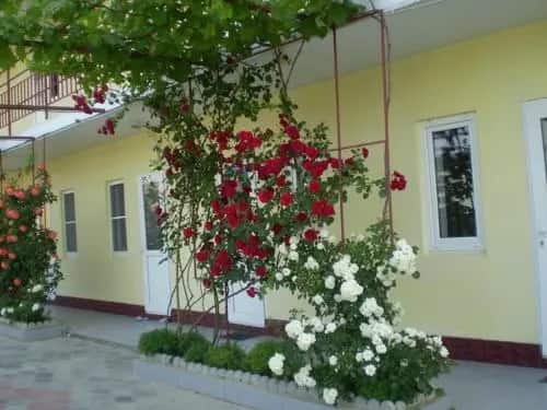 Guest House Shembelidi 20: главное фото 1
