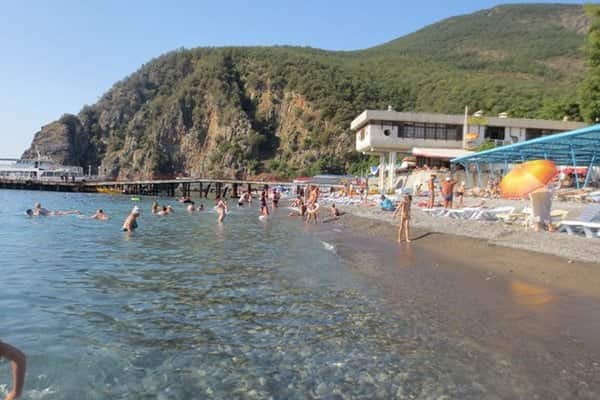 Фламинго: главное фото 1