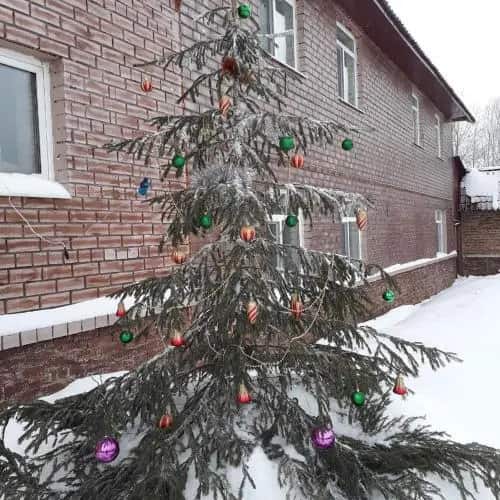 Gostevoy dom na Zhdanova: главное фото 1