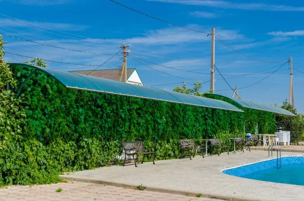 Gelios Guest House: главное фото 1