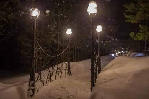 Горлица: главное фото 1