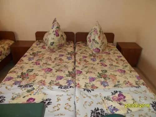 Guesthouse Pioner: главное фото 1
