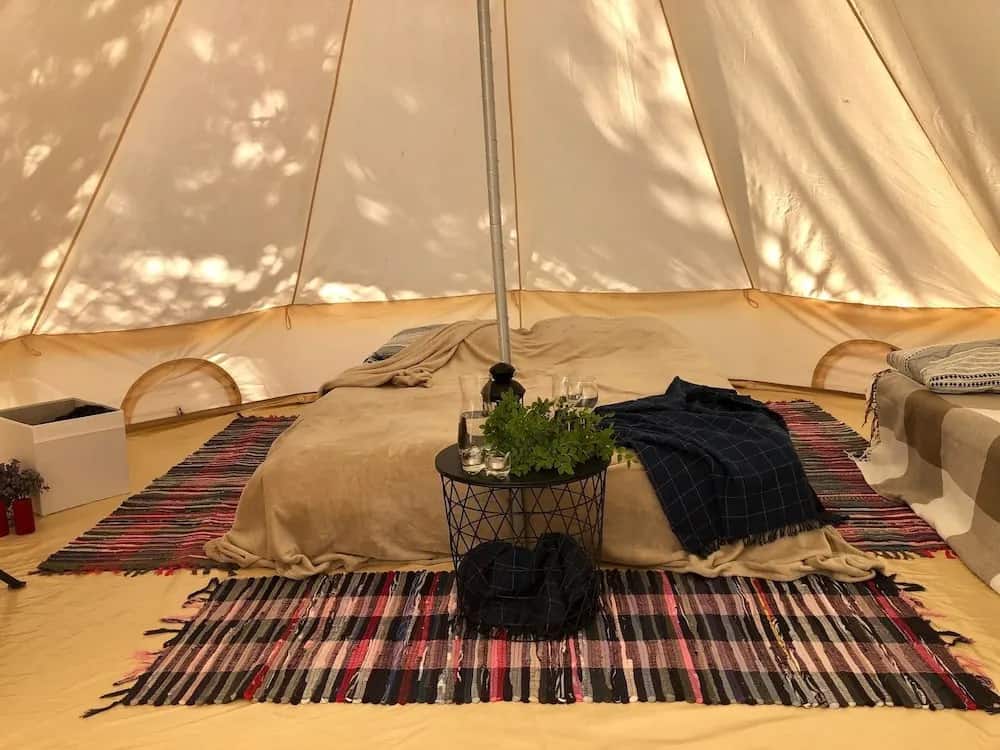 Glamping Vezzika: главное фото 1
