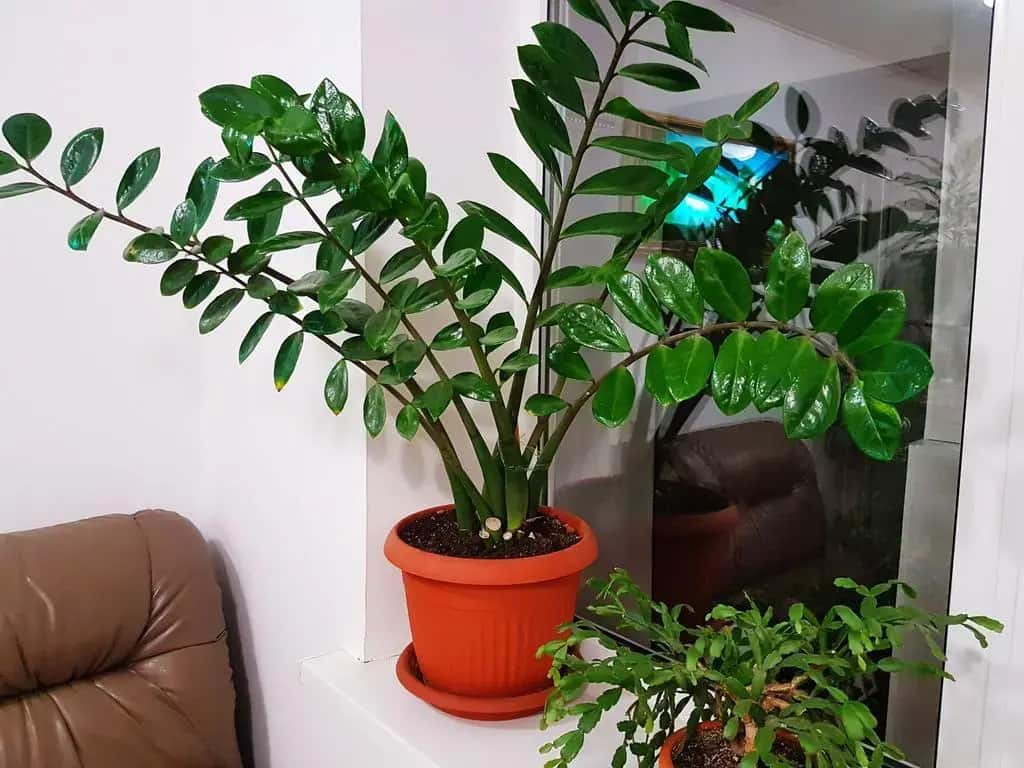 Hostel Uyt in Kursk: главное фото 1