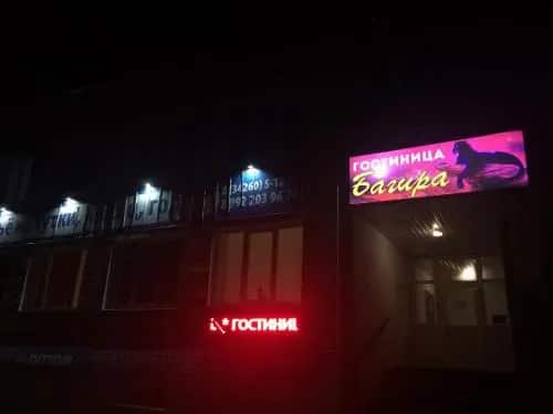 Bagira: главное фото 1