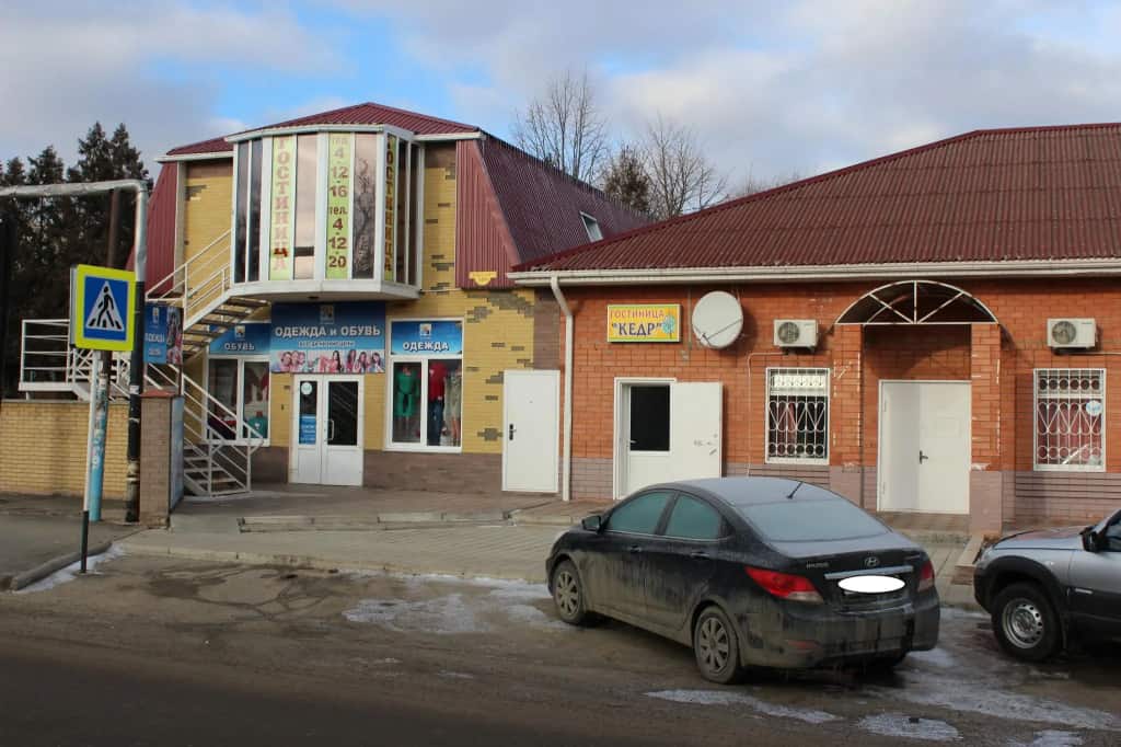 Кедр: главное фото 1