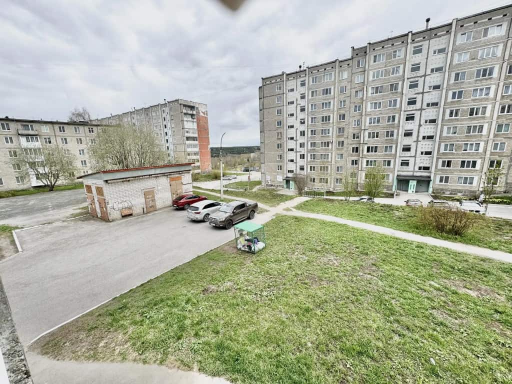 Барбарис на улице Мира 56: главное фото 1