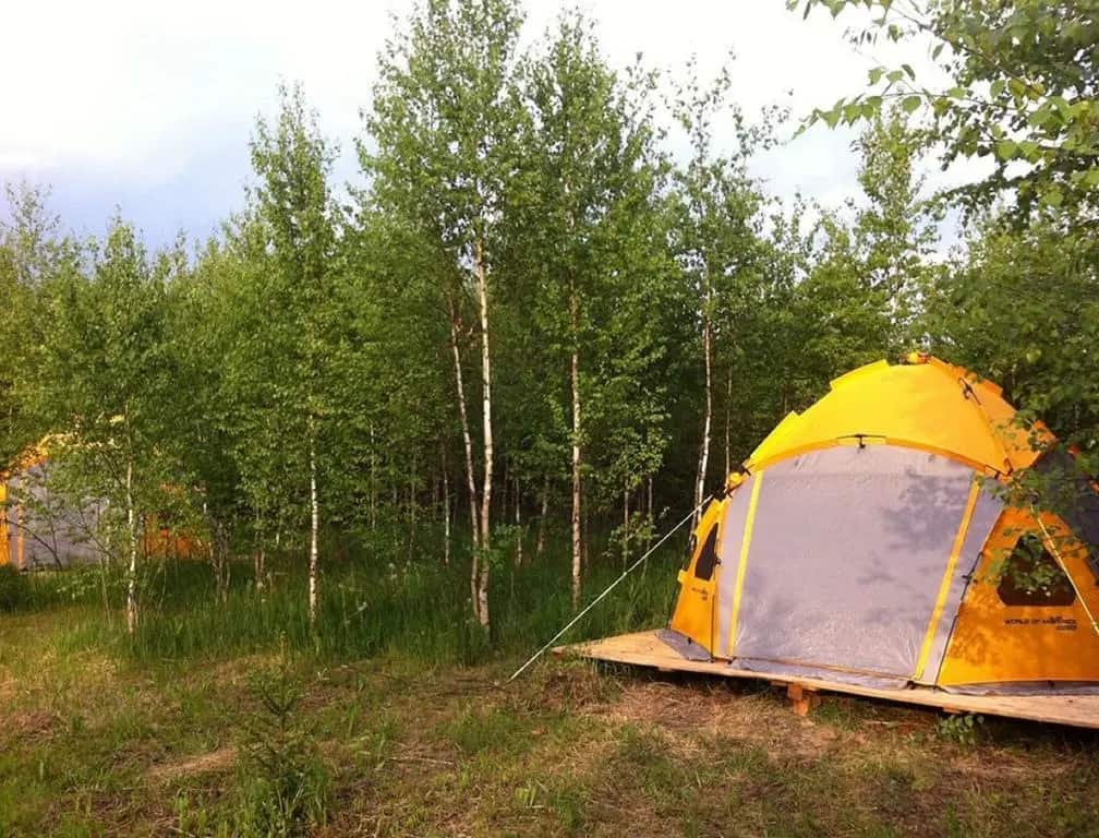 Farm-Camping Nikola-Lenivets: главное фото 1