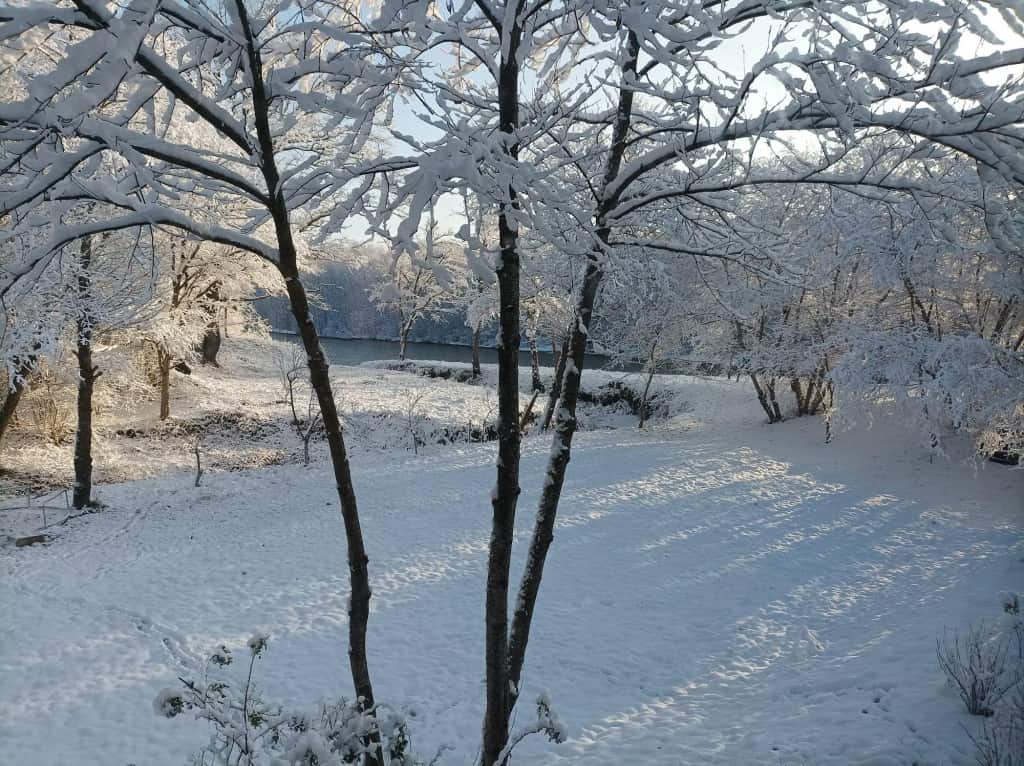 Островок: главное фото 1