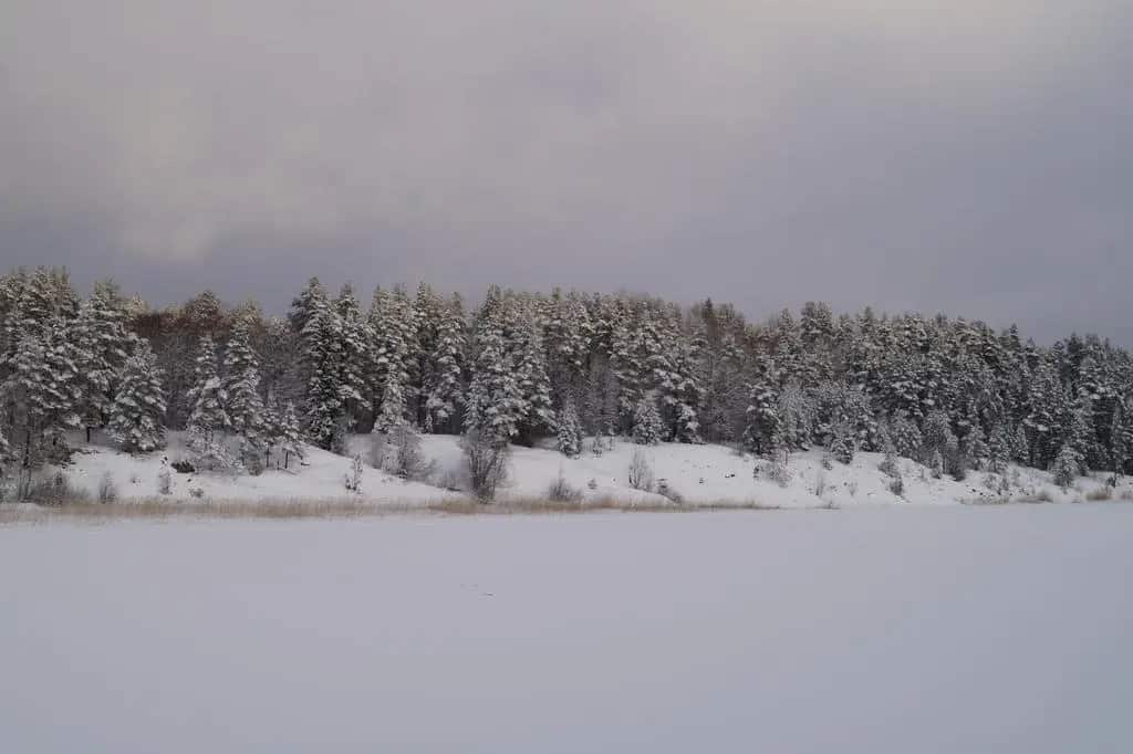 Holiday Home In Shkerakh Park: главное фото 1