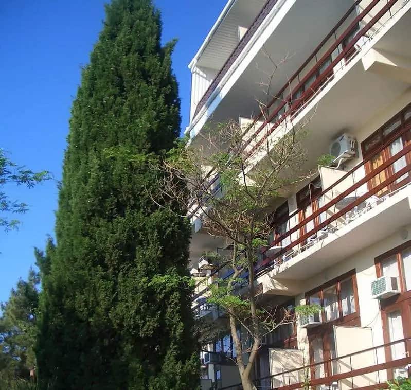 Morskoj Briz (Gurzuf): главное фото 1
