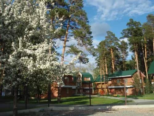 Родники: главное фото 1