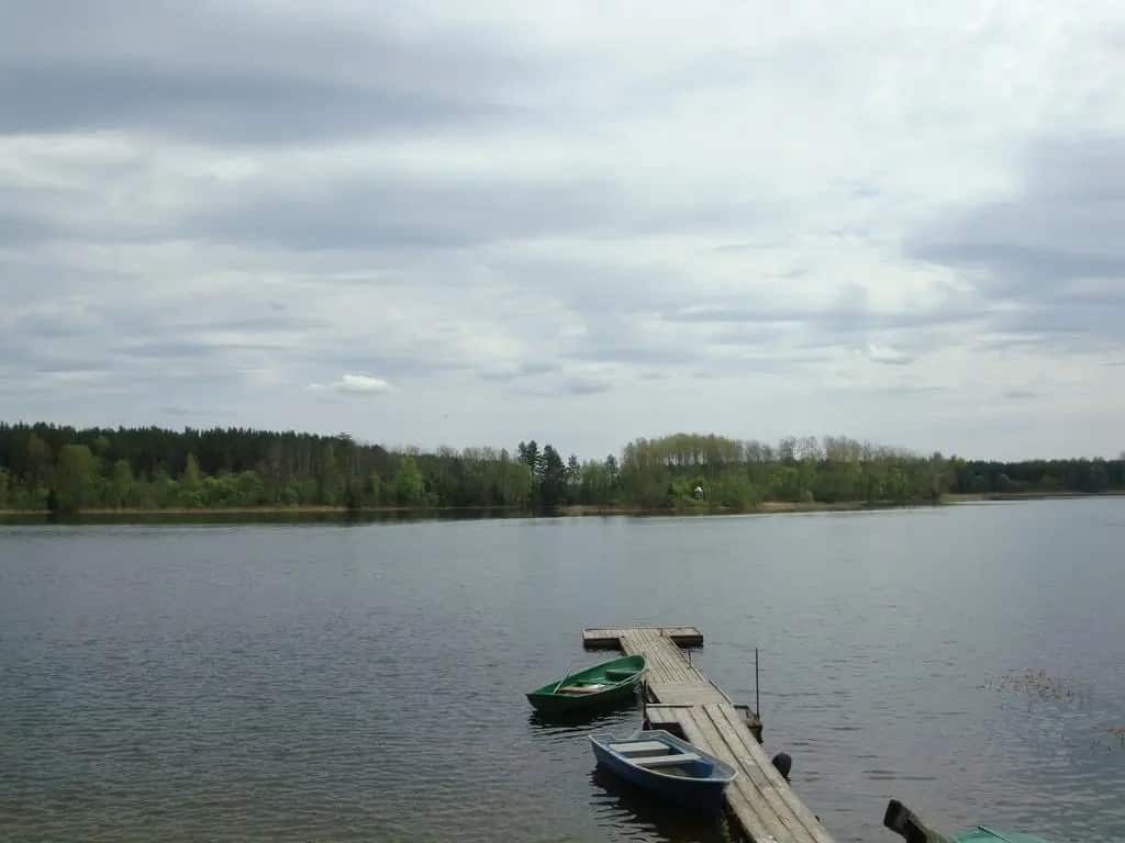 Holiday homes Lukomorie: главное фото 1