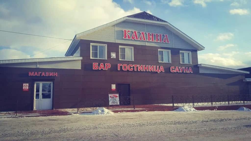 Калина: главное фото 1