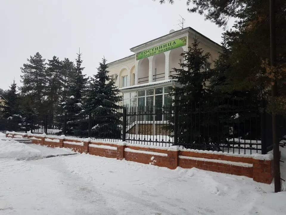 Лесная поляна: главное фото 1
