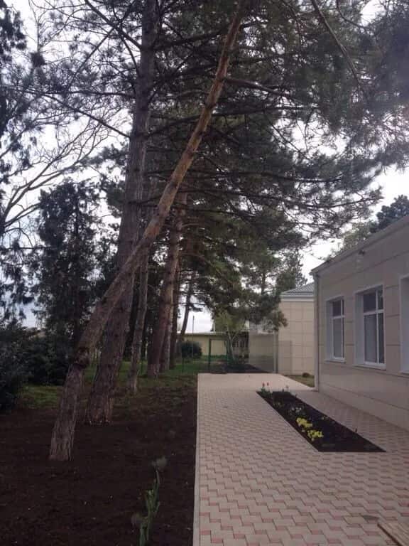 Ночлег и завтрак Гостиница Надежда: главное фото 1