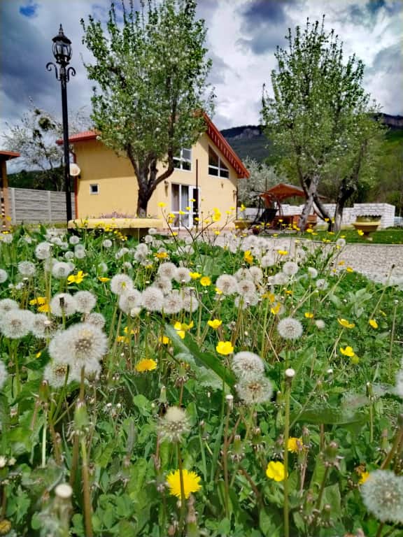 Домик в горах: главное фото 1
