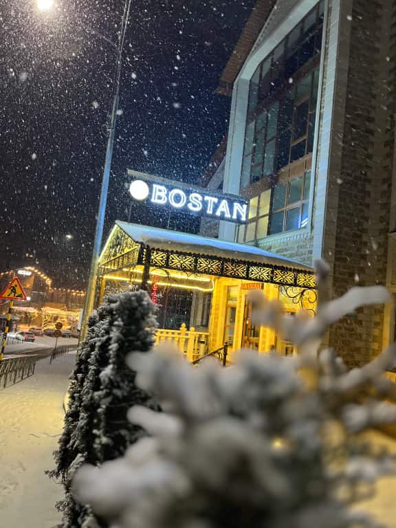 Отель Bostan: фото 1