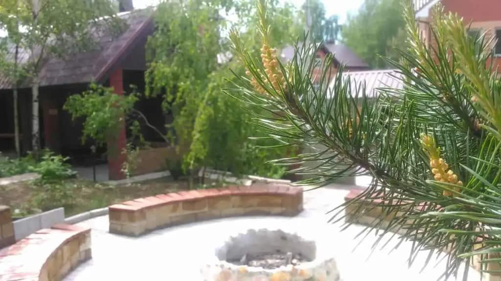 Гостевой дом Сосновая аллея в Дядькино: главное фото 1