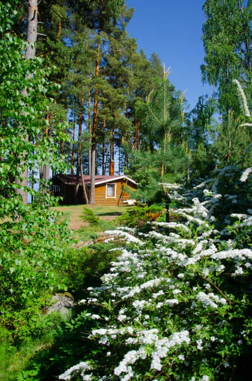 База Отдыха Мыс Вуокса: главное фото 1