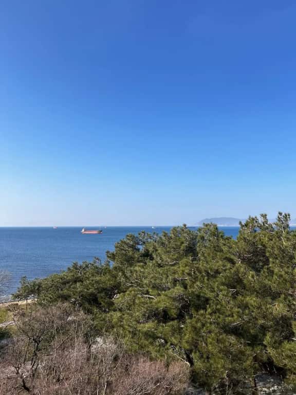 Санаторий Черноморская здравница Кабардинка: главное фото 1