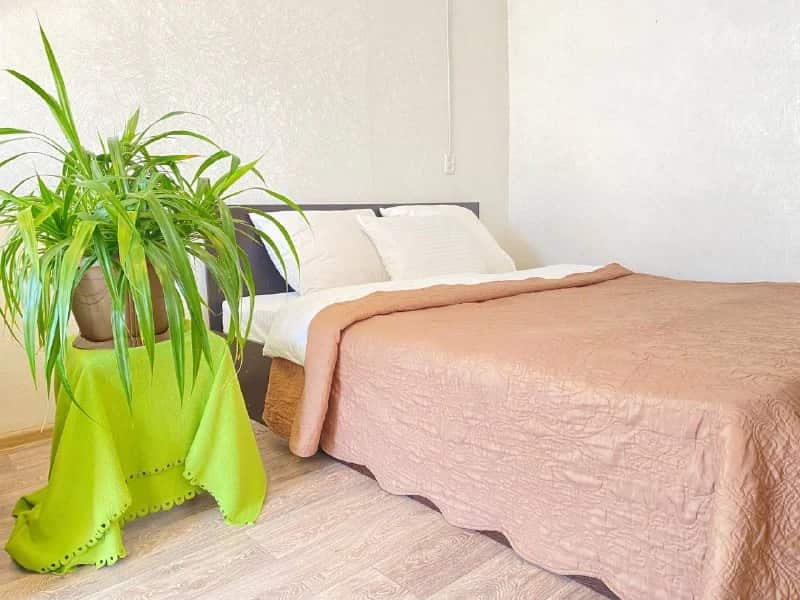 Апартаменты ApartLand на Мира 5: главное фото 1
