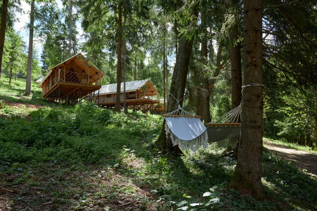 Les Ryadom Glamping: главное фото 1