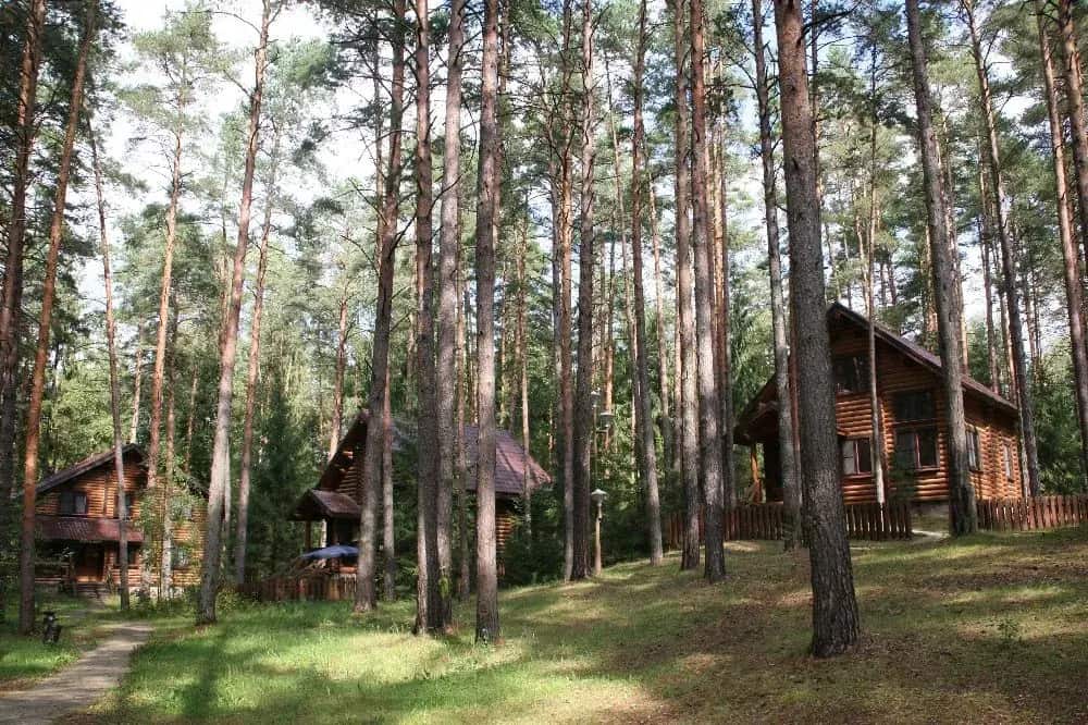 Загородный комплекс отдыха Волжанка: главное фото 1