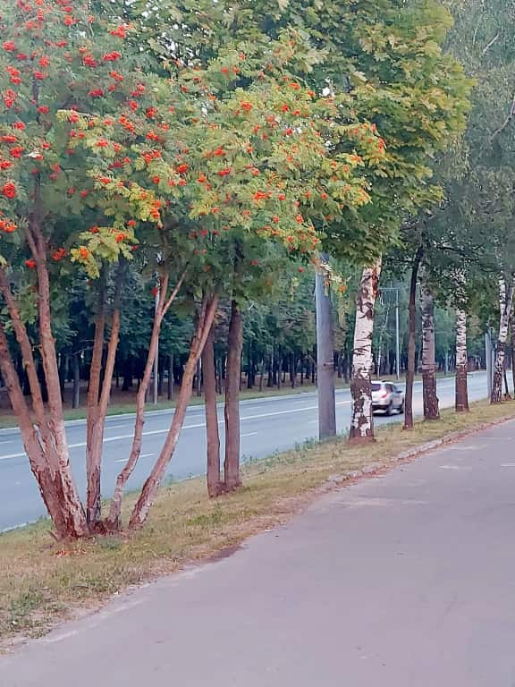 Апартаменты Квартира Две Комнаты: главное фото 1
