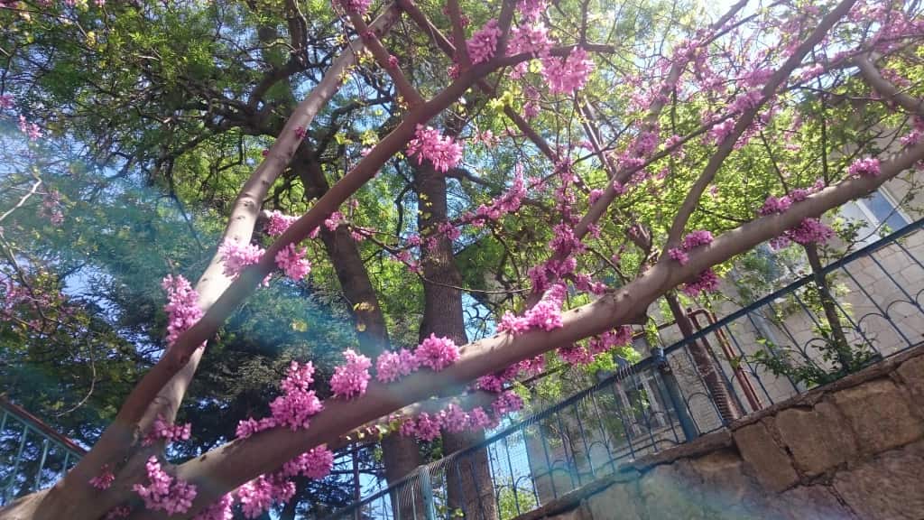 Na Pereulke Sverdlova Hostel: главное фото 1