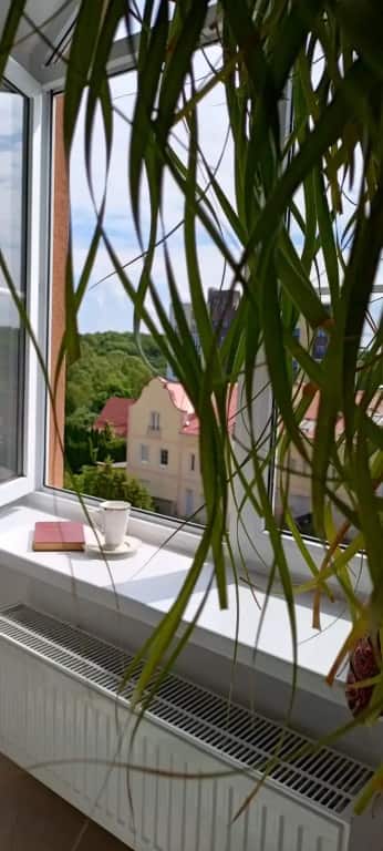 Квартира SEA Apartments: главное фото 1
