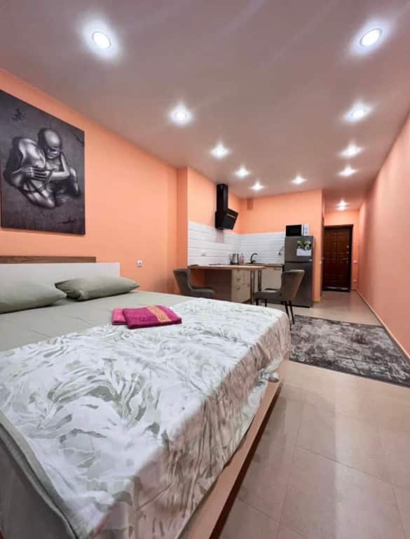 Квартира студия 30 м² 25/25 этаж: главное фото 1