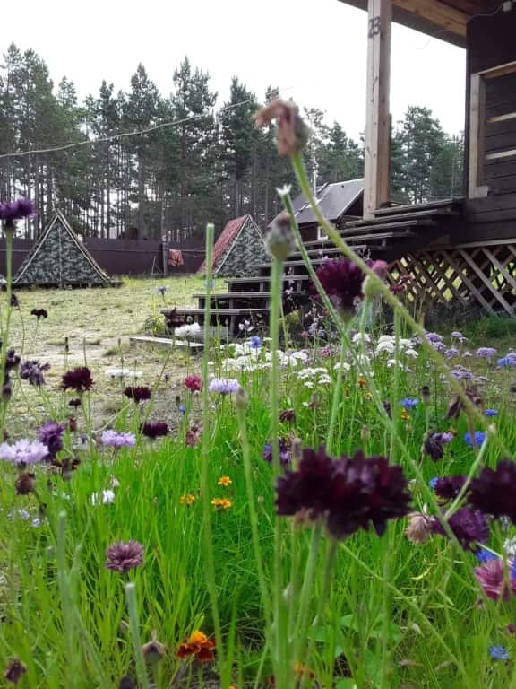 Гостевой дом Family house: главное фото 1