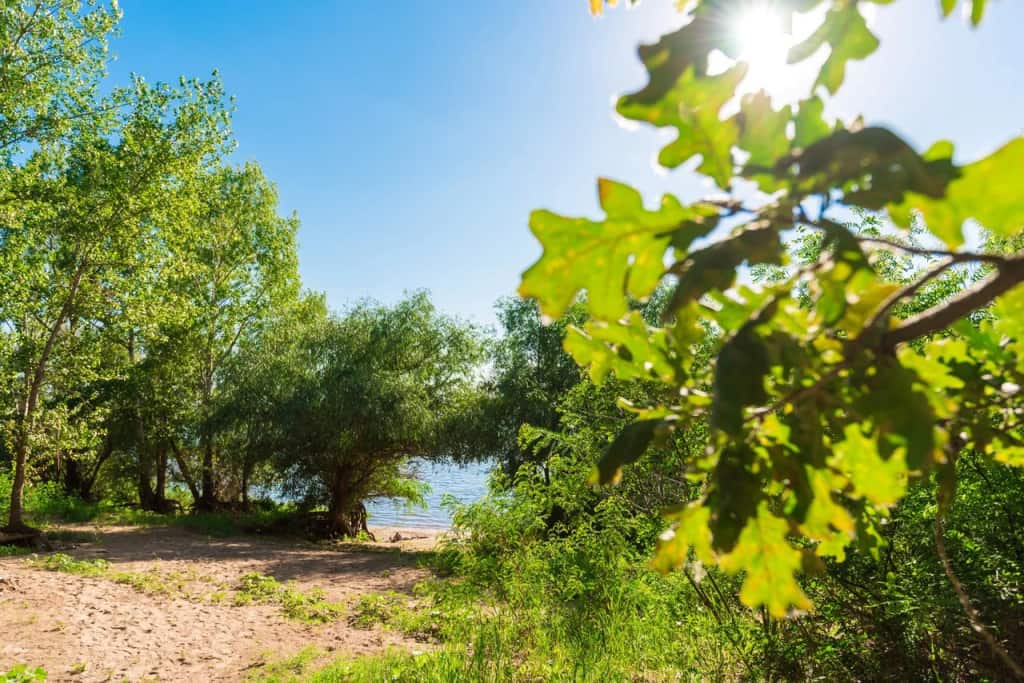 База Отдыха Дача Поддубного: главное фото 1