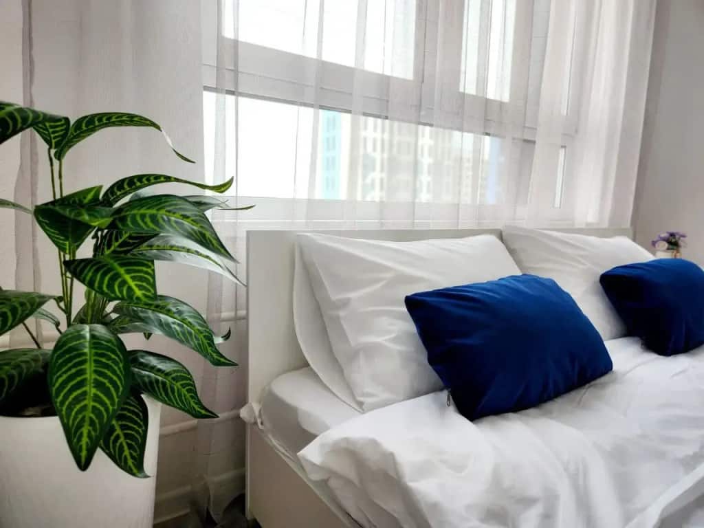 Апартаменты комфорт-класса Ranway Apartments: главное фото 1