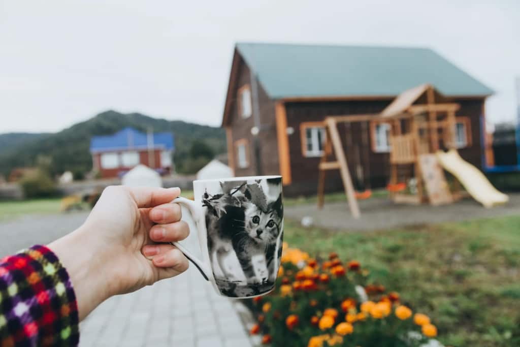 Usadyba Kotovskikh Guest House: главное фото 1