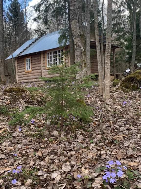 Бунгало Изба Рыбака: главное фото 1