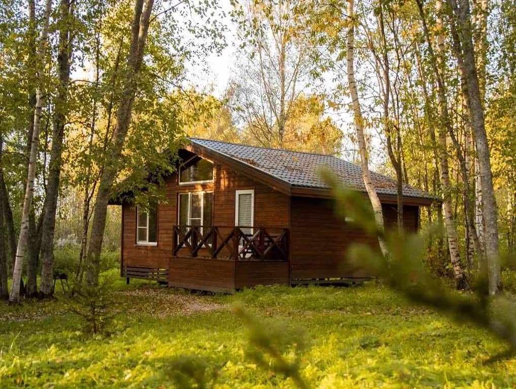 Гостевой дом Ладога Хоум - Лес: главное фото 1