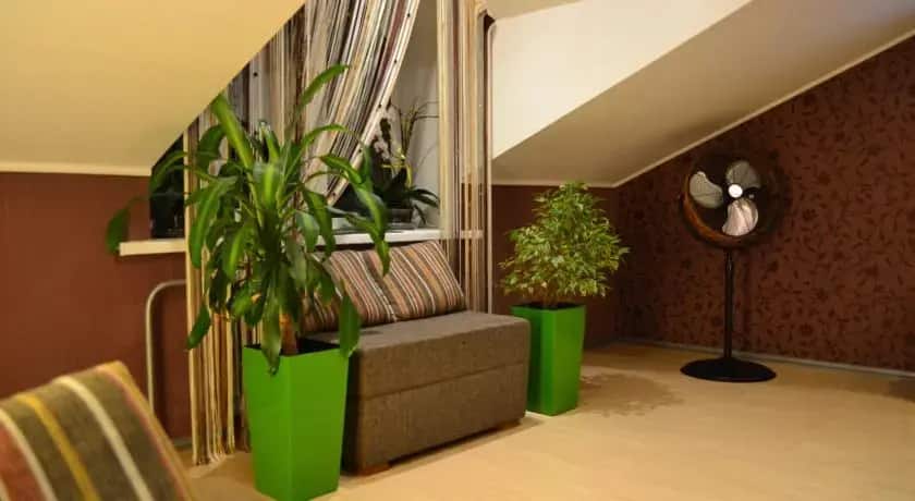 Apartment on Krasnoarmeyskaya: главное фото 1