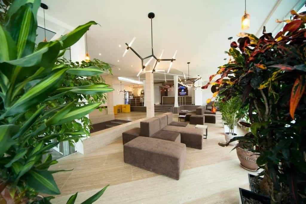 PARUS medical resort & SPA: главное фото 1