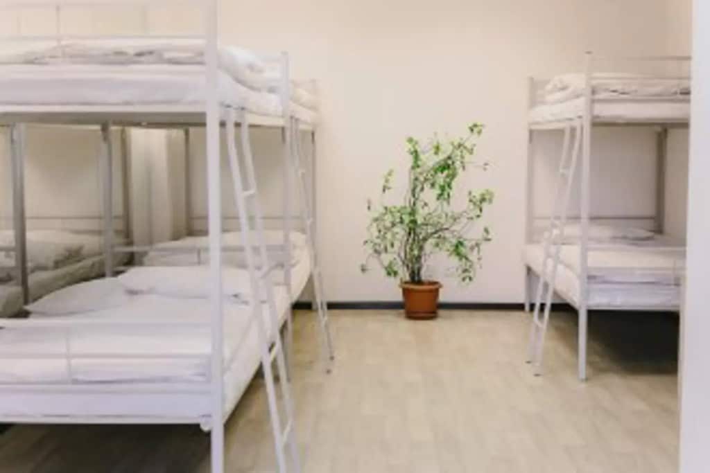 Hostel Frisson: главное фото 1