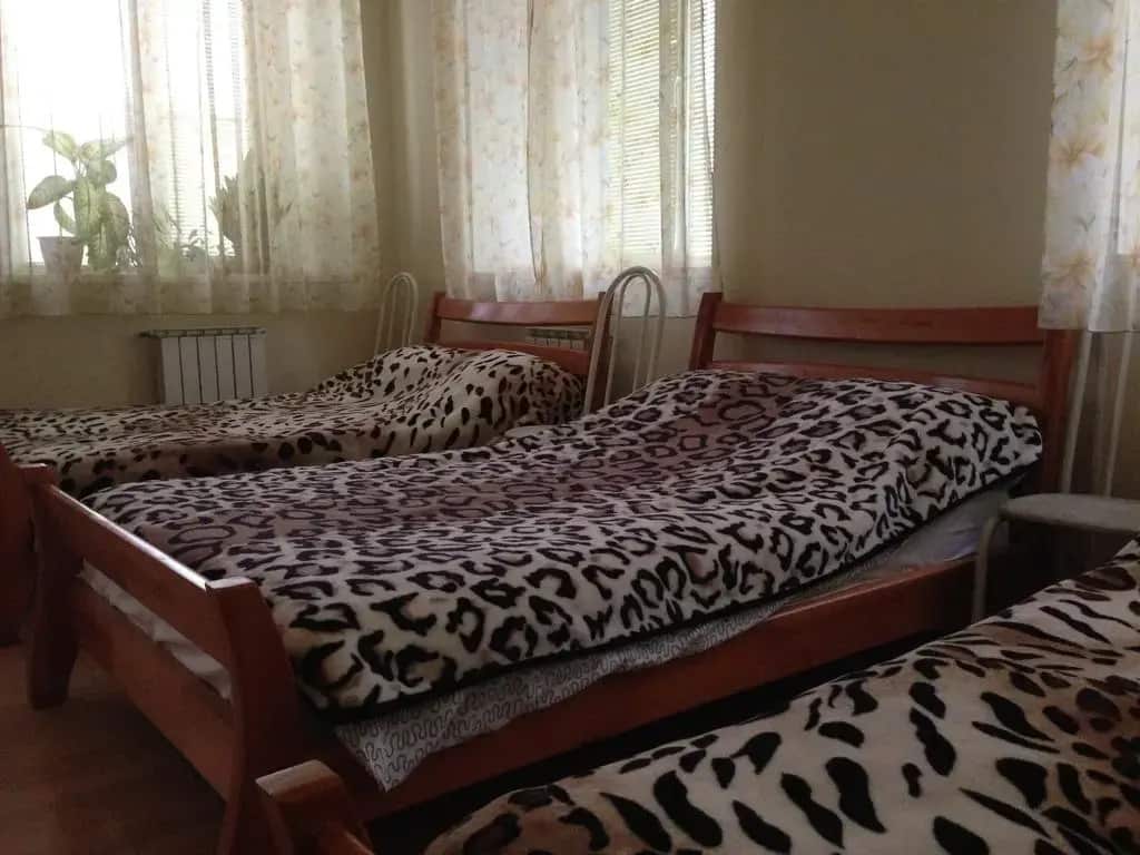 Дама с собачкой: главное фото 1