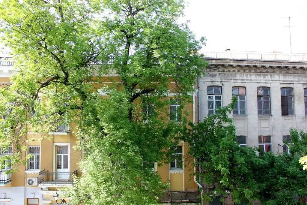 Хостел Orange: главное фото 1