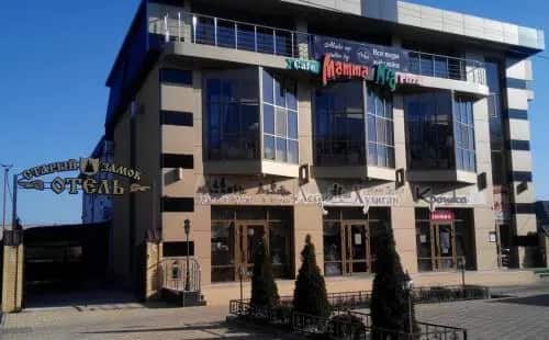 Hotel Staryi Zamok: главное фото 1