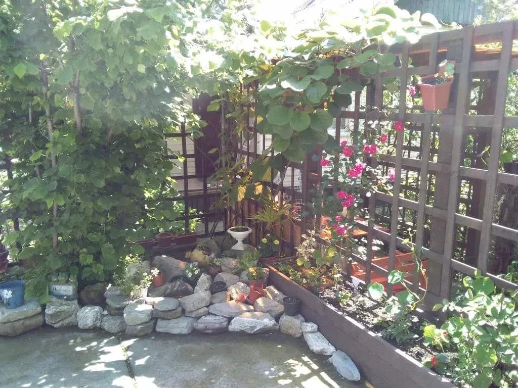 Letniye Domiki Vacation Home: главное фото 1